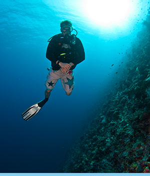 Dive master courses