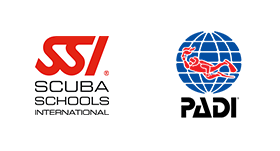ssi_padi_2