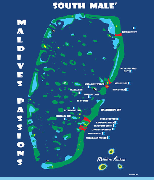 The Best Diving Spots in the Maldives - North Male Atoll
